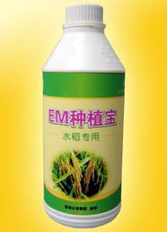 廣州以諾生物科技推出‘em種植寶’水稻專(zhuān)用產(chǎn)品，助力綠色農(nóng)業(yè)發(fā)展